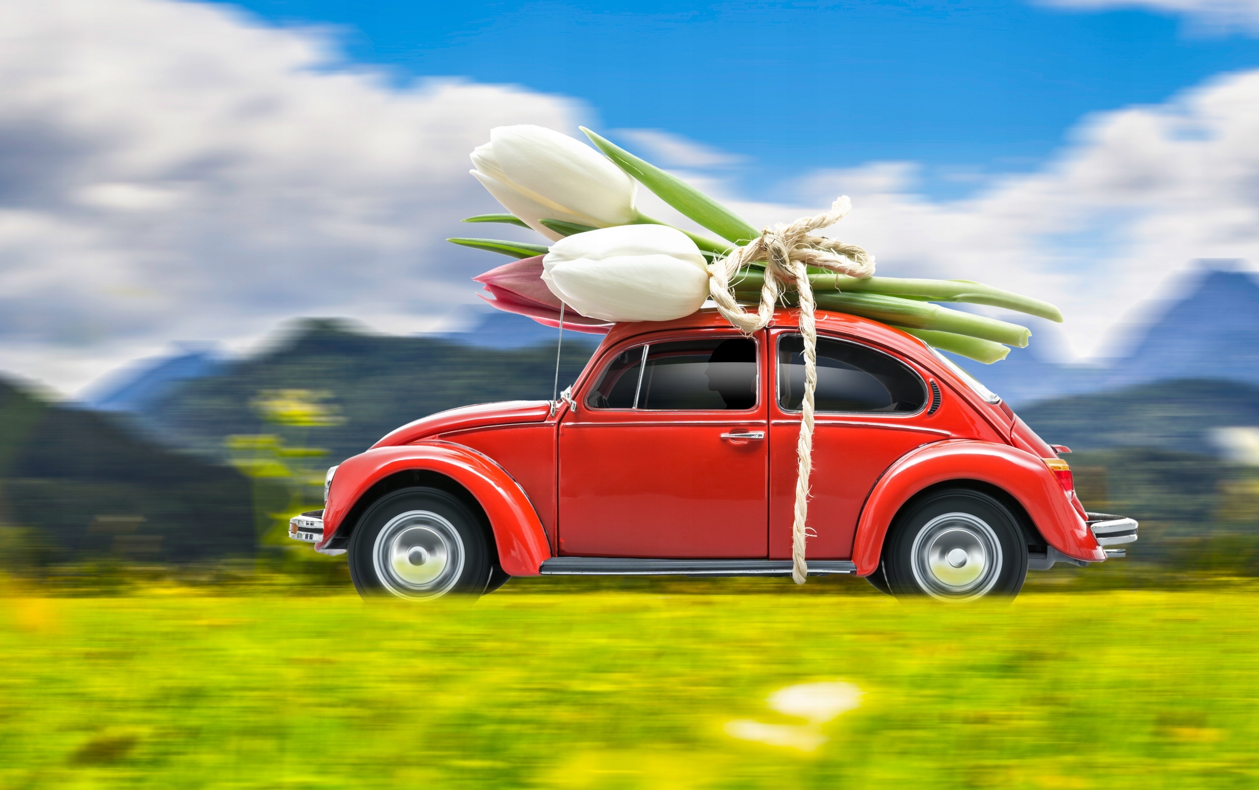 FOTOTAPETA AUTO TULIPANY PIĘKNA DO KUCHNI 3D