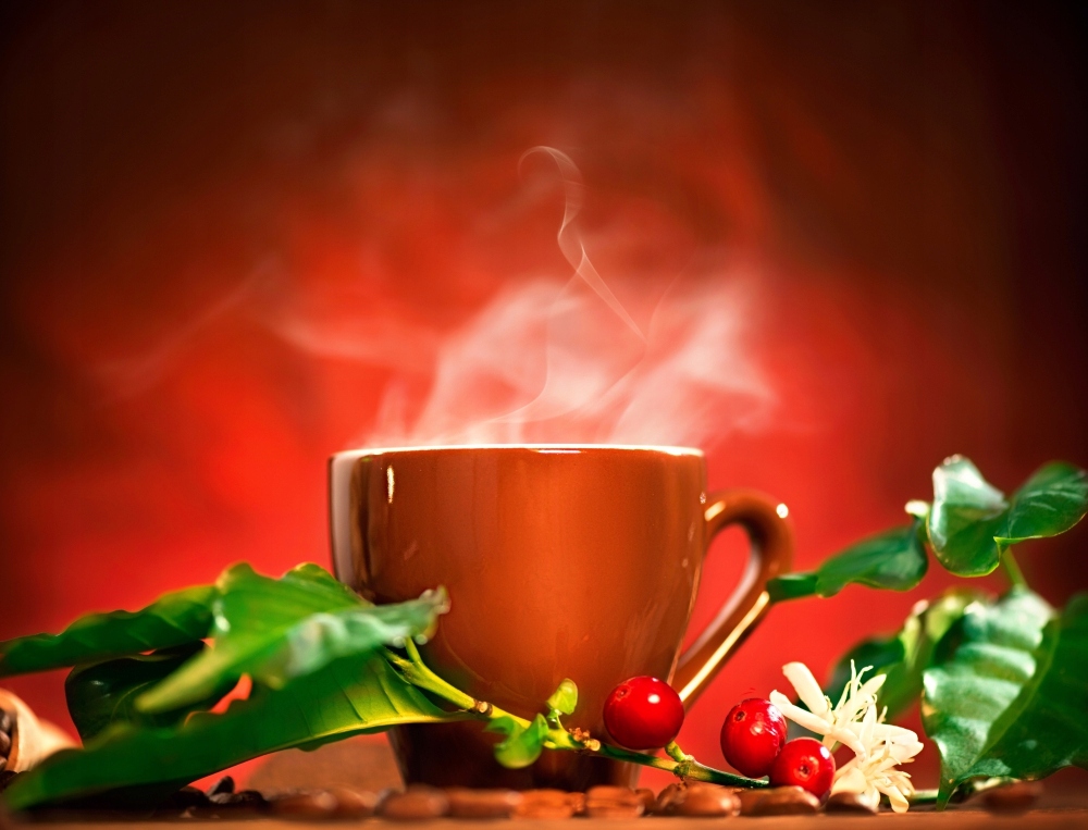 FOTOTAPETA kuchenna KUBEK LIŚCIE OWOCE