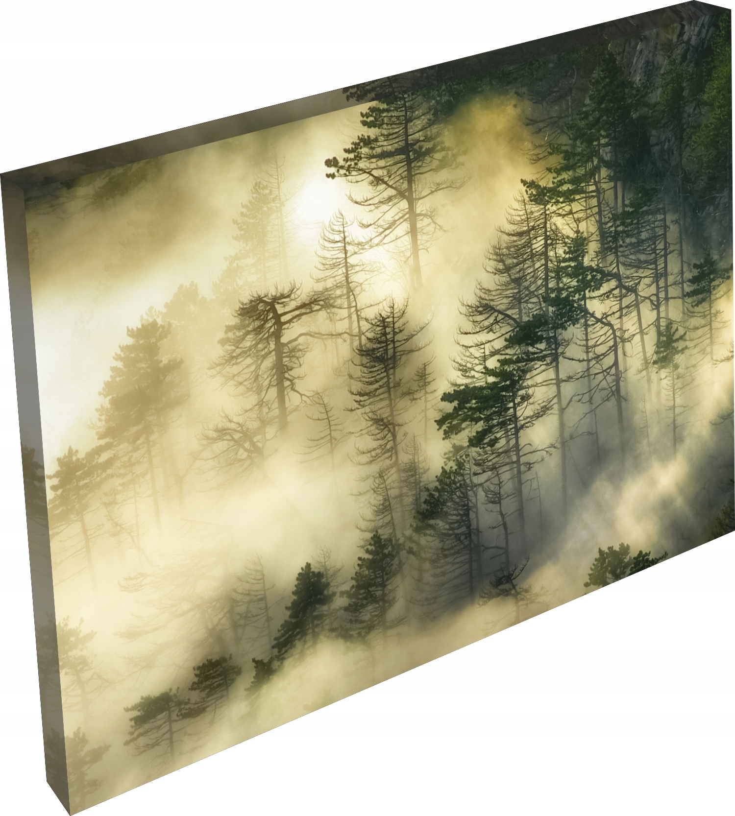 OBRAZ na płótnie LAS WE MGLE WIDOK NATURA 120x80