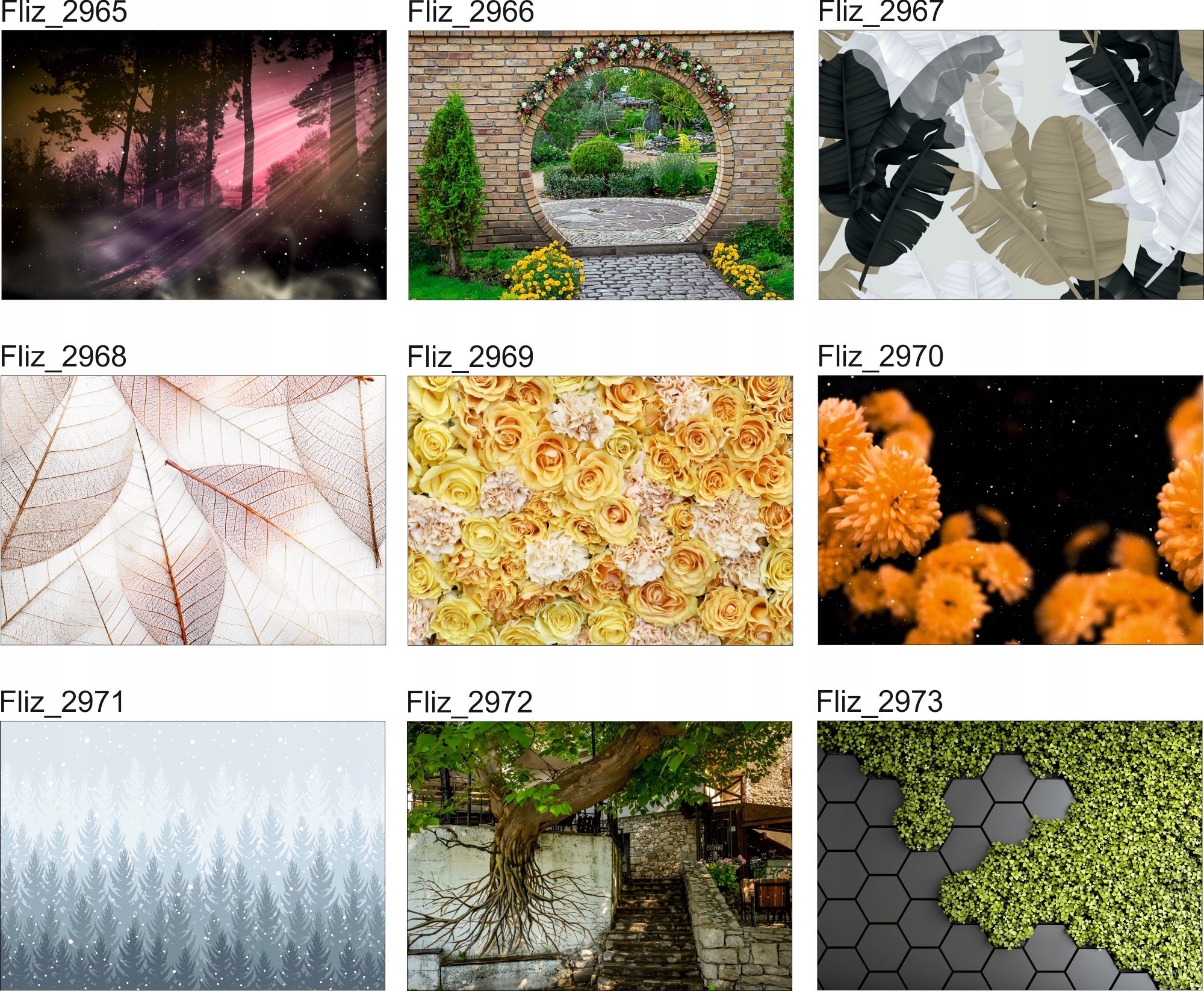 FOTOTAPETY Marmur Złote Liście Monstera Paproci