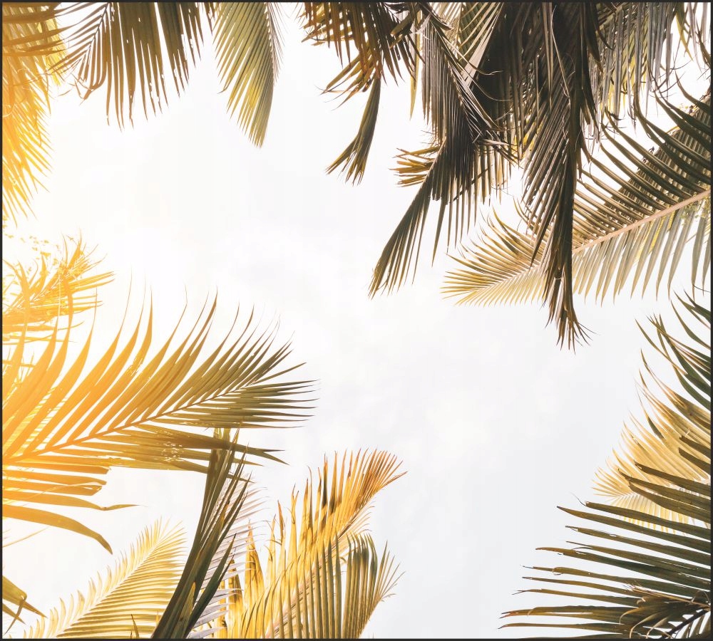 Tło do fotografii produktowej kulinarnej Flat Lay