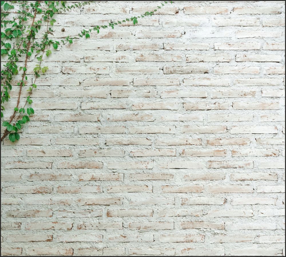 Tło FLAT LAY do fotografii produktowej kulinarnej