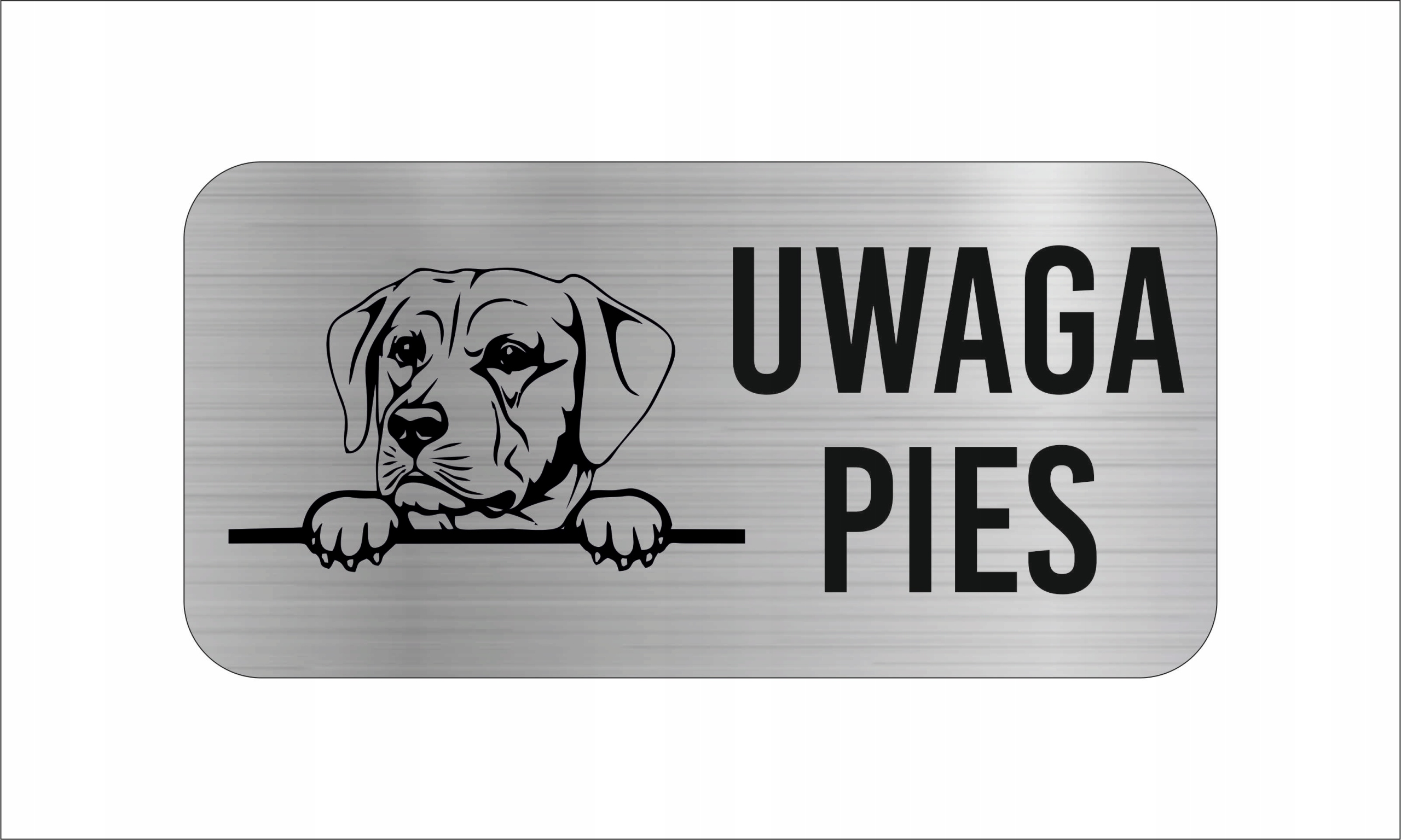 GRAWER Tabliczka nierdzewna LAMINAT 20x10 UWAGA PIES Labrador retriever