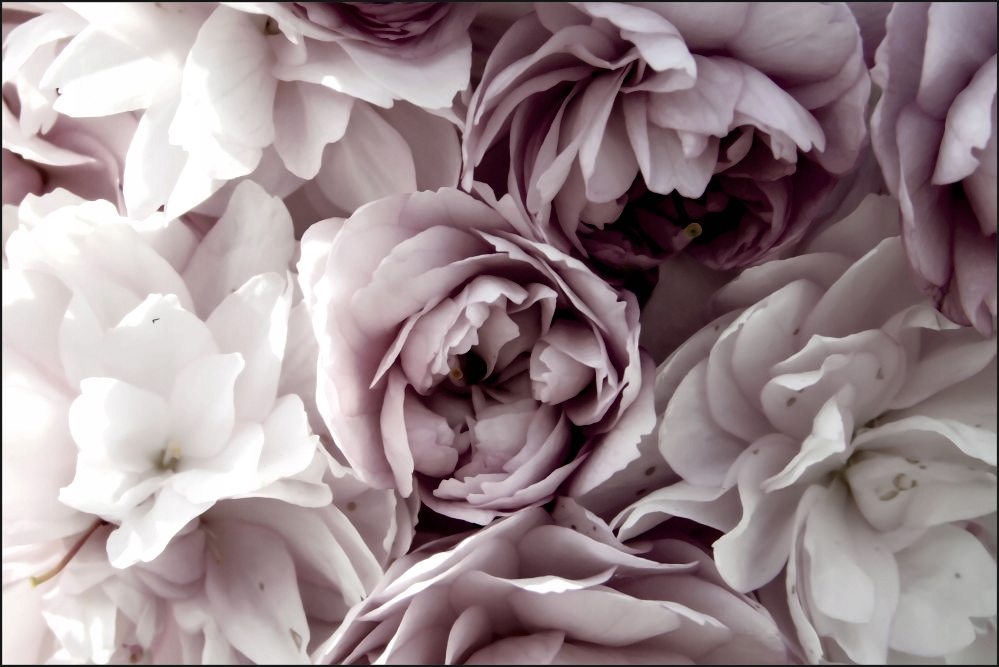 Tło PRODUKTOWE kulinarne Flat Lay na bloga insta