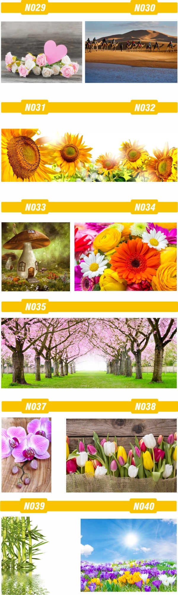 FOTOTAPETA rosliny KWIATY róże DUŻY WYBÓR WZORÓW