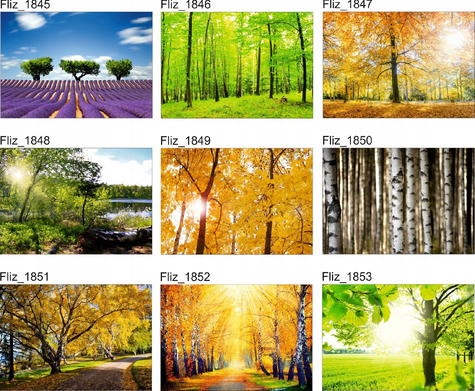 FOTOTAPETA KRAJOBRAZ WIDOK KWITNĄCE DRZEWA 260x180