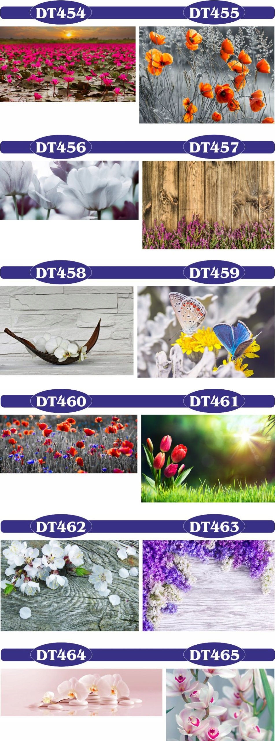 fototapety FOTOTAPETA na wymiar KWIAT kamienie SPA