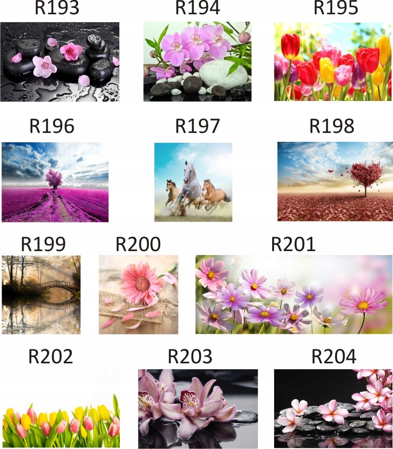 FOTOTAPETA rosliny KWIATY róże DUŻY WYBÓR WZORÓW