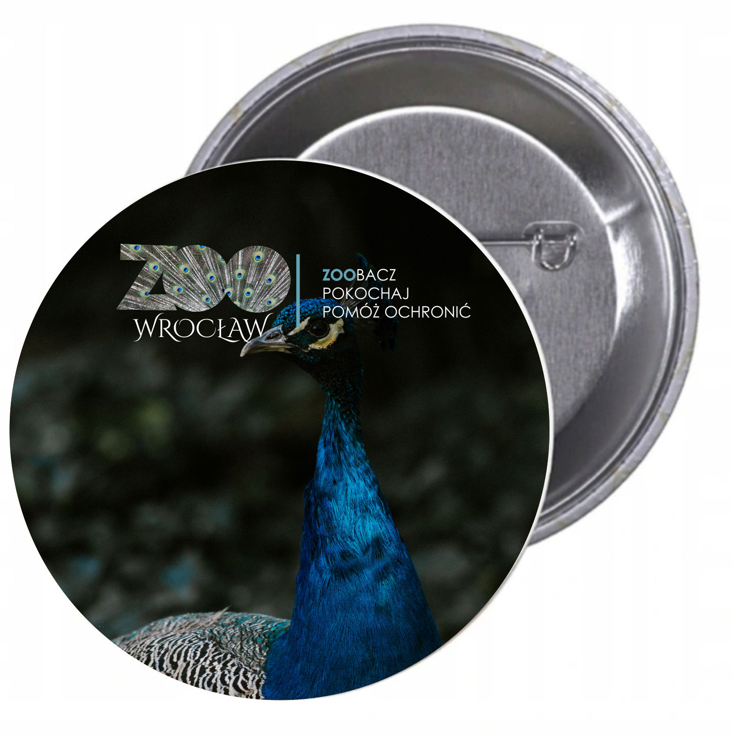 Przypinki buttony ZOO ZOOBACZ POMÓŻ OCHRONIĆ hit