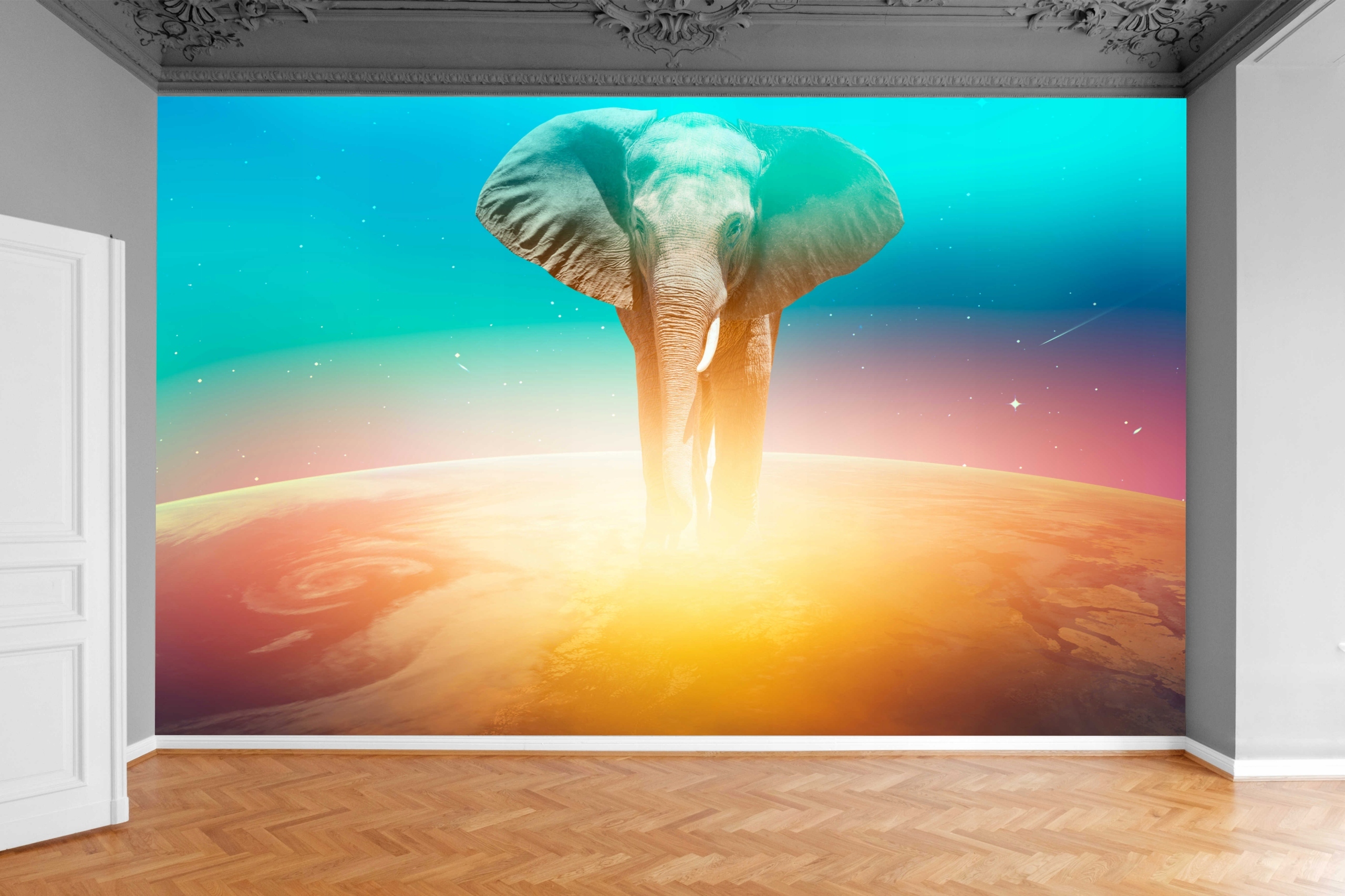 Fototapeta SŁOŃ SPACERUJĄCY PO PLANECIE 300x210