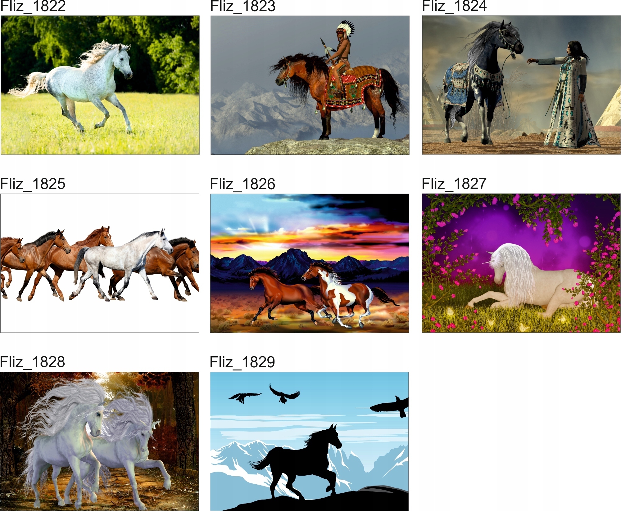 FOTOTAPETA ZWIERZĘTA NATURA ZEBRY NIEBO CHMURY