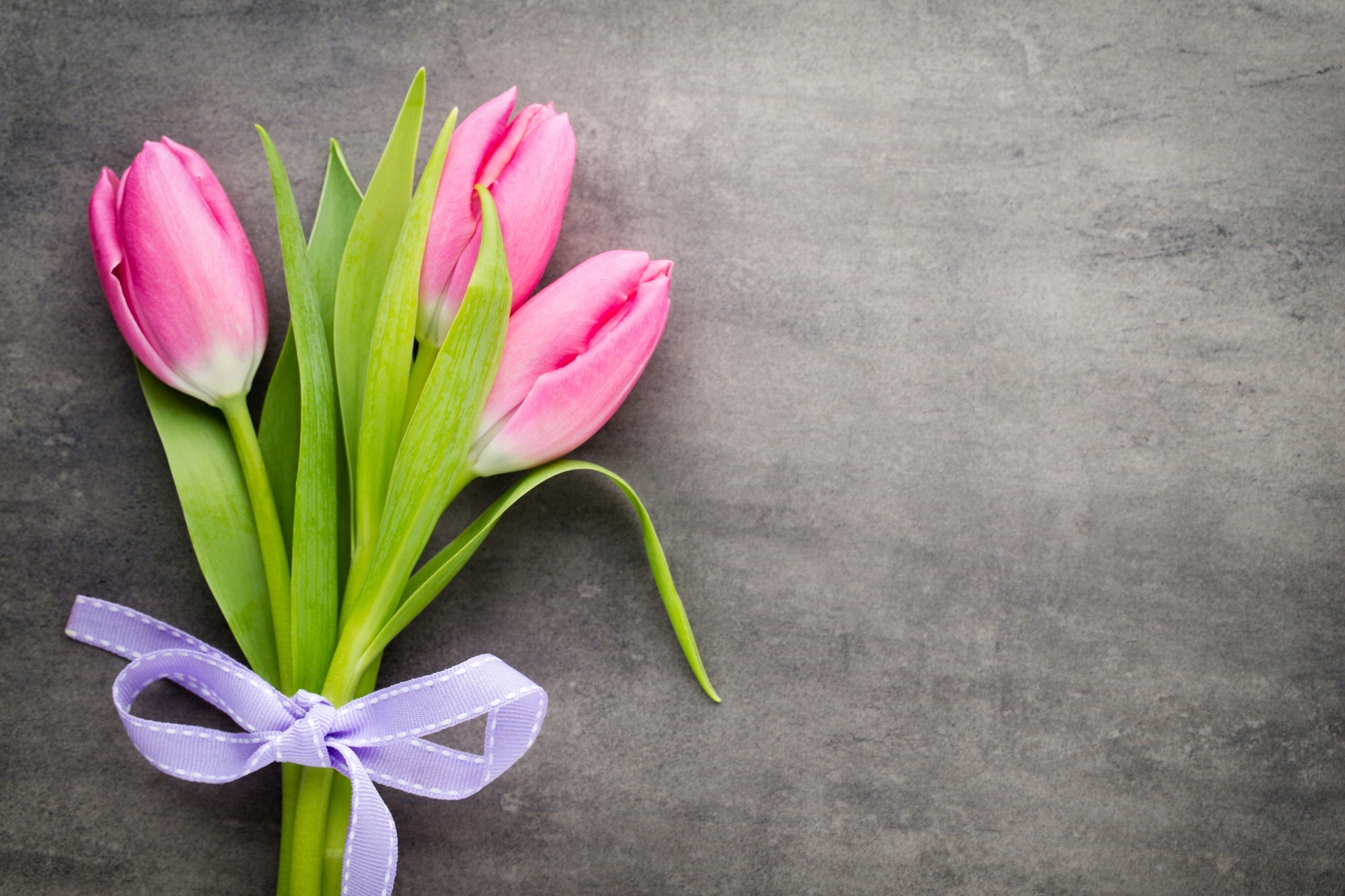 FOTOTAPETA TULIPANY BUKIET SZAROŚĆ