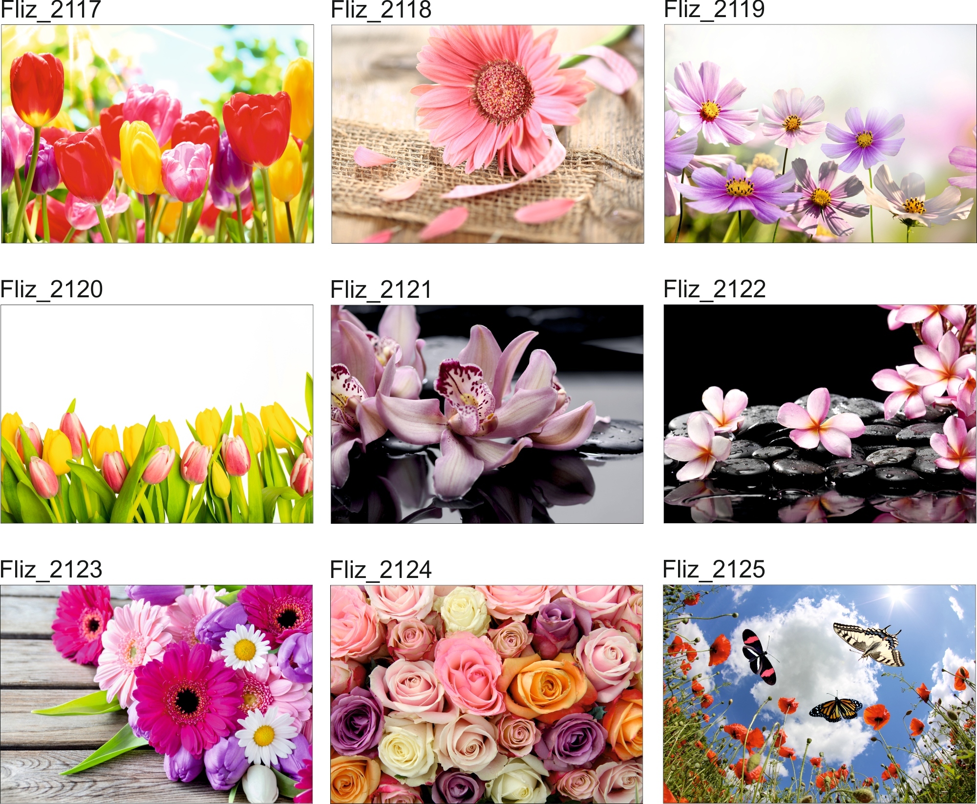 FOTOTAPETA KWIATY NATURA KAMIENIE CZERWONA RÓŻA