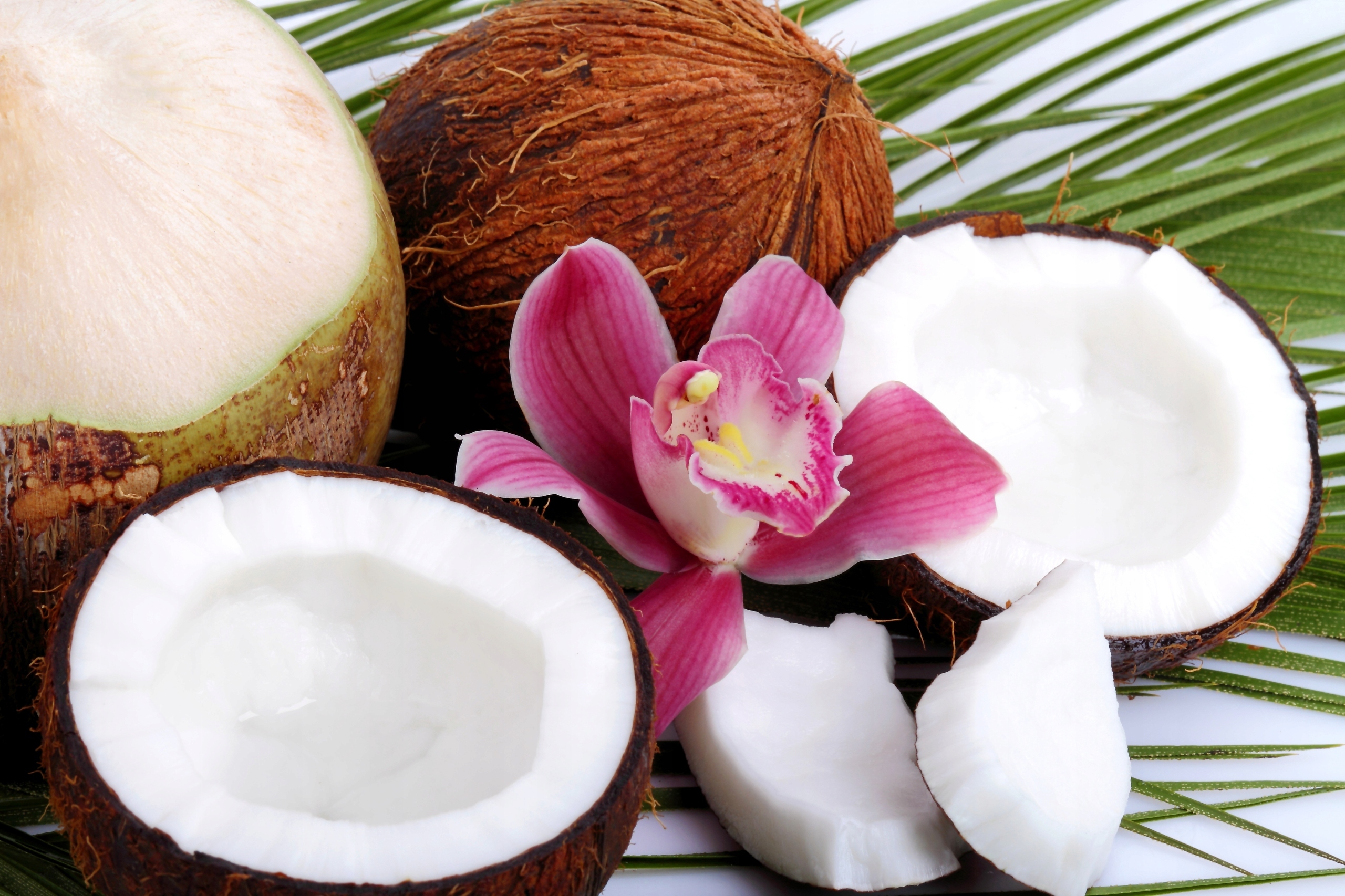 FOTOTAPETA kuchenna KOKOS KWIAT TROPIKALNE 360x240