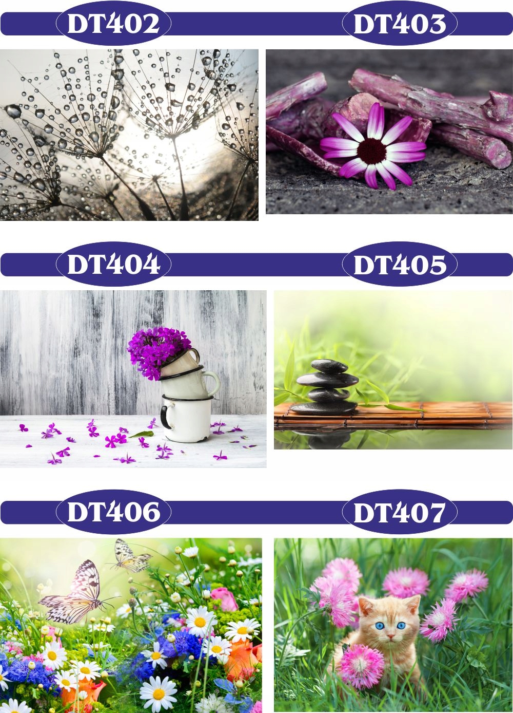 fototapety FOTOTAPETA na wymiar KWIAT kamienie SPA