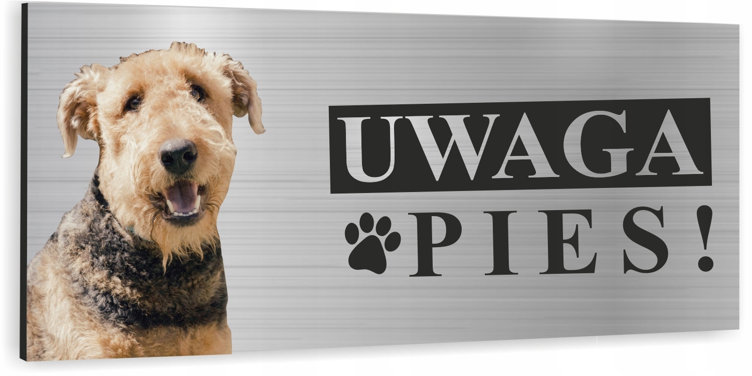 Tabliczka UWAGA ZŁY PIES - AIREDALE TERRIER 3D UV