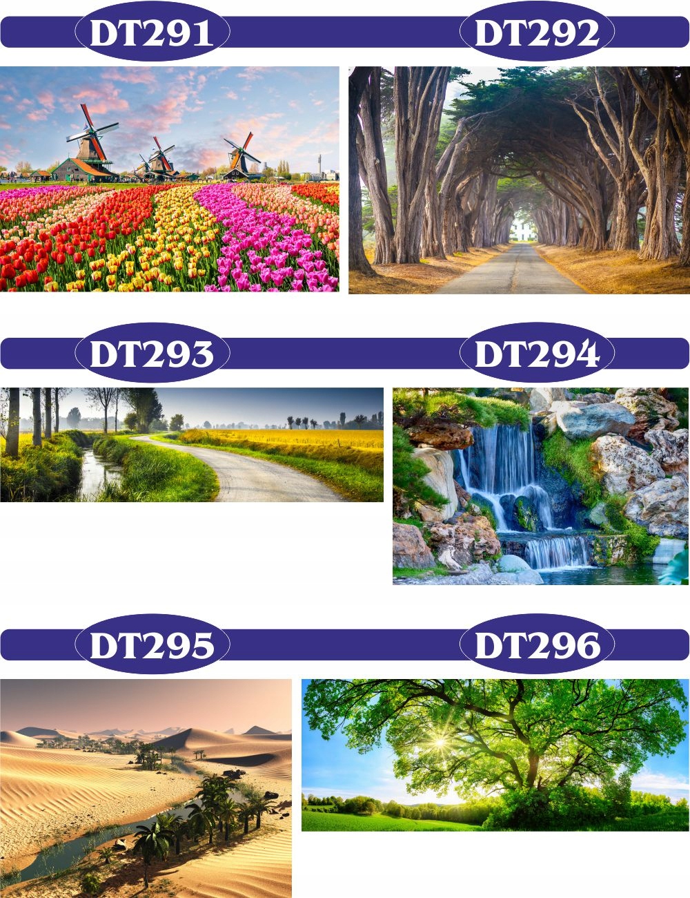 FOTOTAPETY 3d wodospad las drzewa 250x200