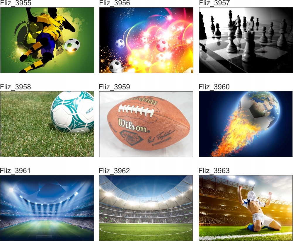 FOTOTAPETA PIŁKARSKA BOISKO STADION PIŁKA