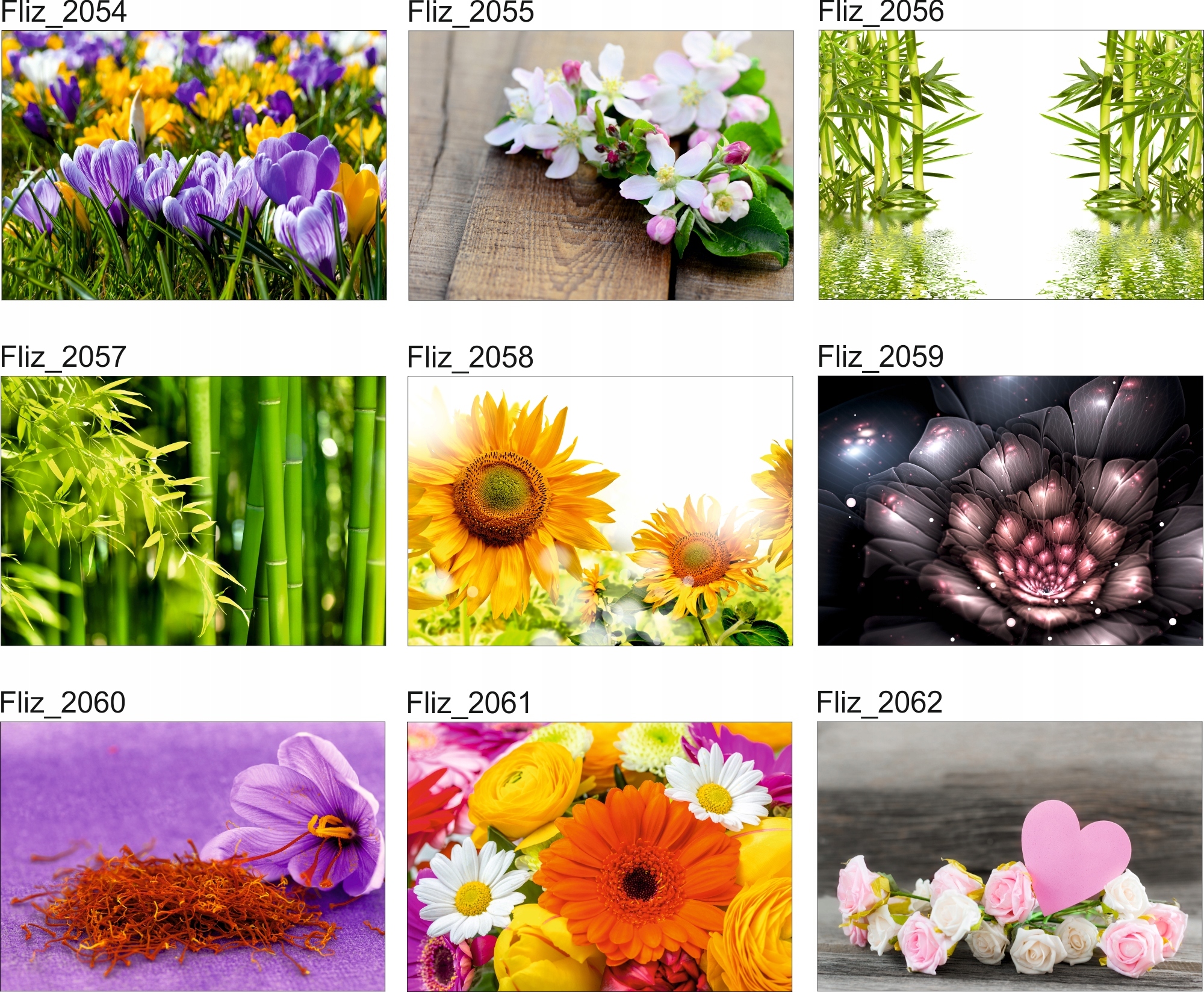 FOTOTAPETA KWIATY CZERWONE TULIPANY BIAŁE SERCE