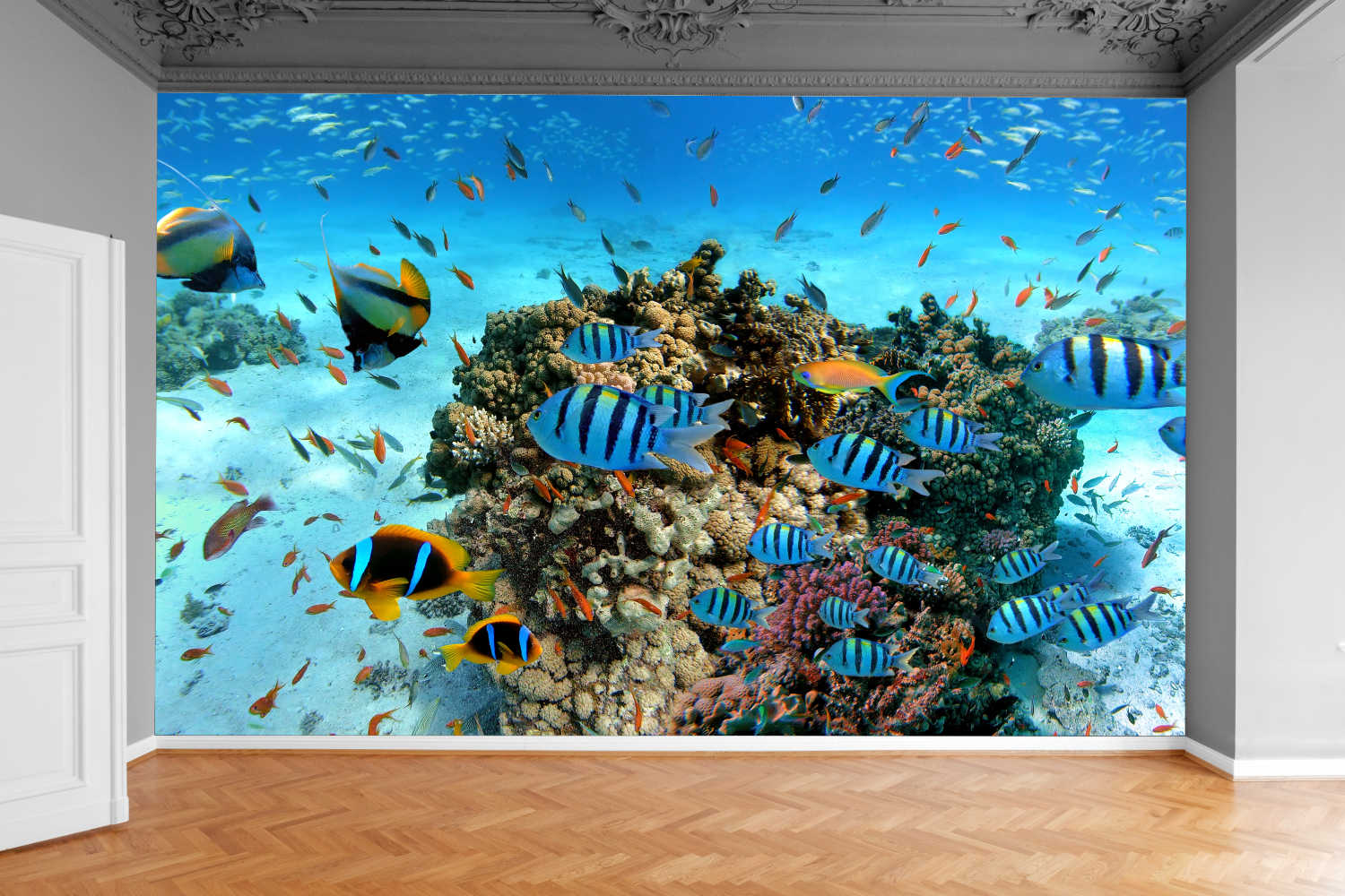 Fototapeta RAFA KORALOWA RYBY 390x280