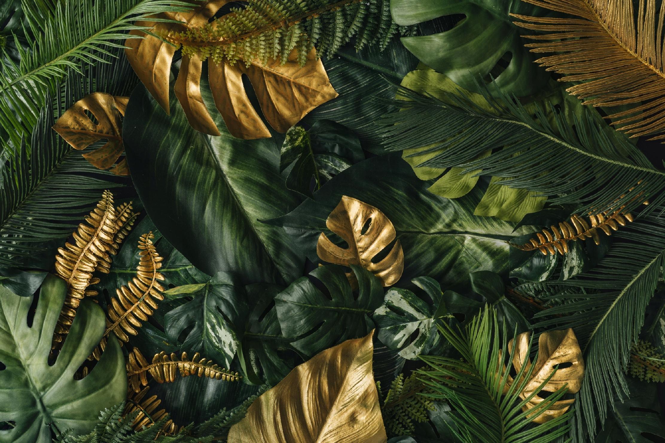 FOTOTAPETY Kwiaty Złote Liście Monstera 260x180