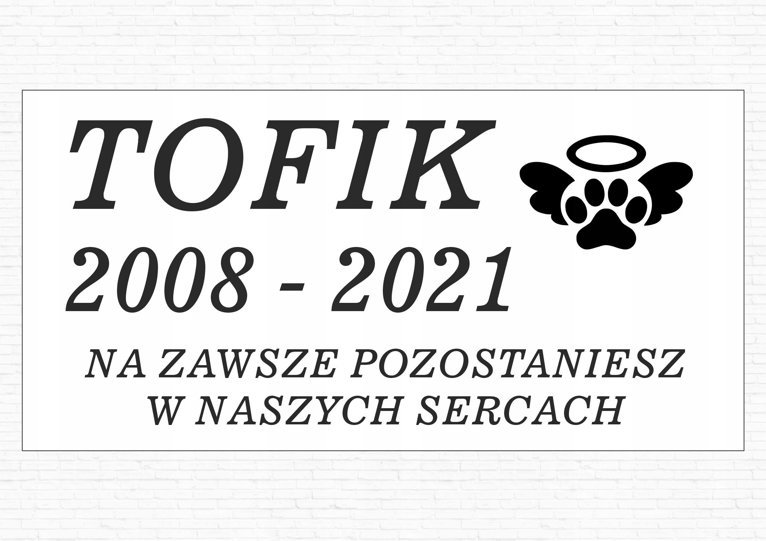 GRAWER Tablica nagrobna nagrobkowa dla zwierząt kota psa biała 20x10 cm