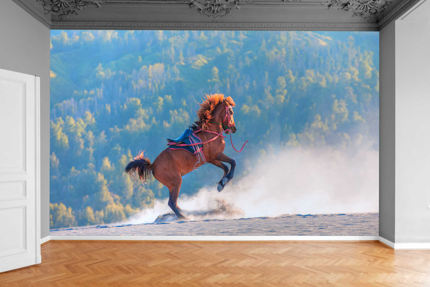 Fototapeta CZERWONY KOŃ NA PUSTYNI LAS 370x250