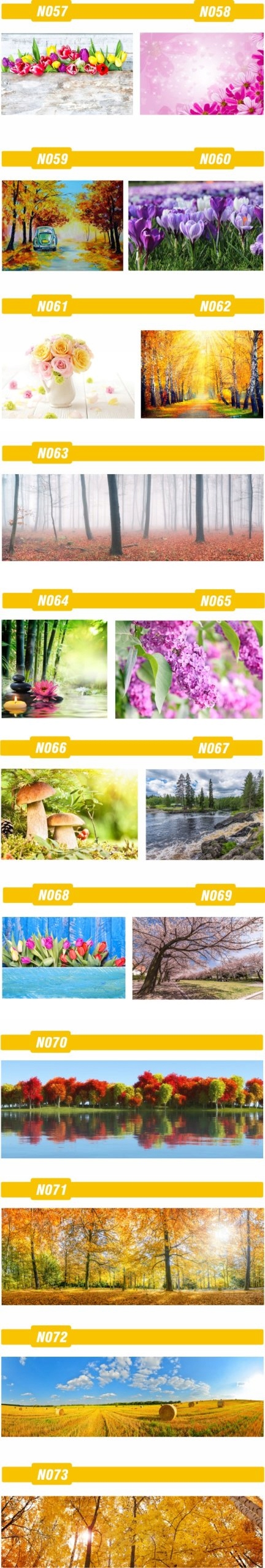 FOTOTAPETA rosliny KWIATY róże DUŻY WYBÓR WZORÓW