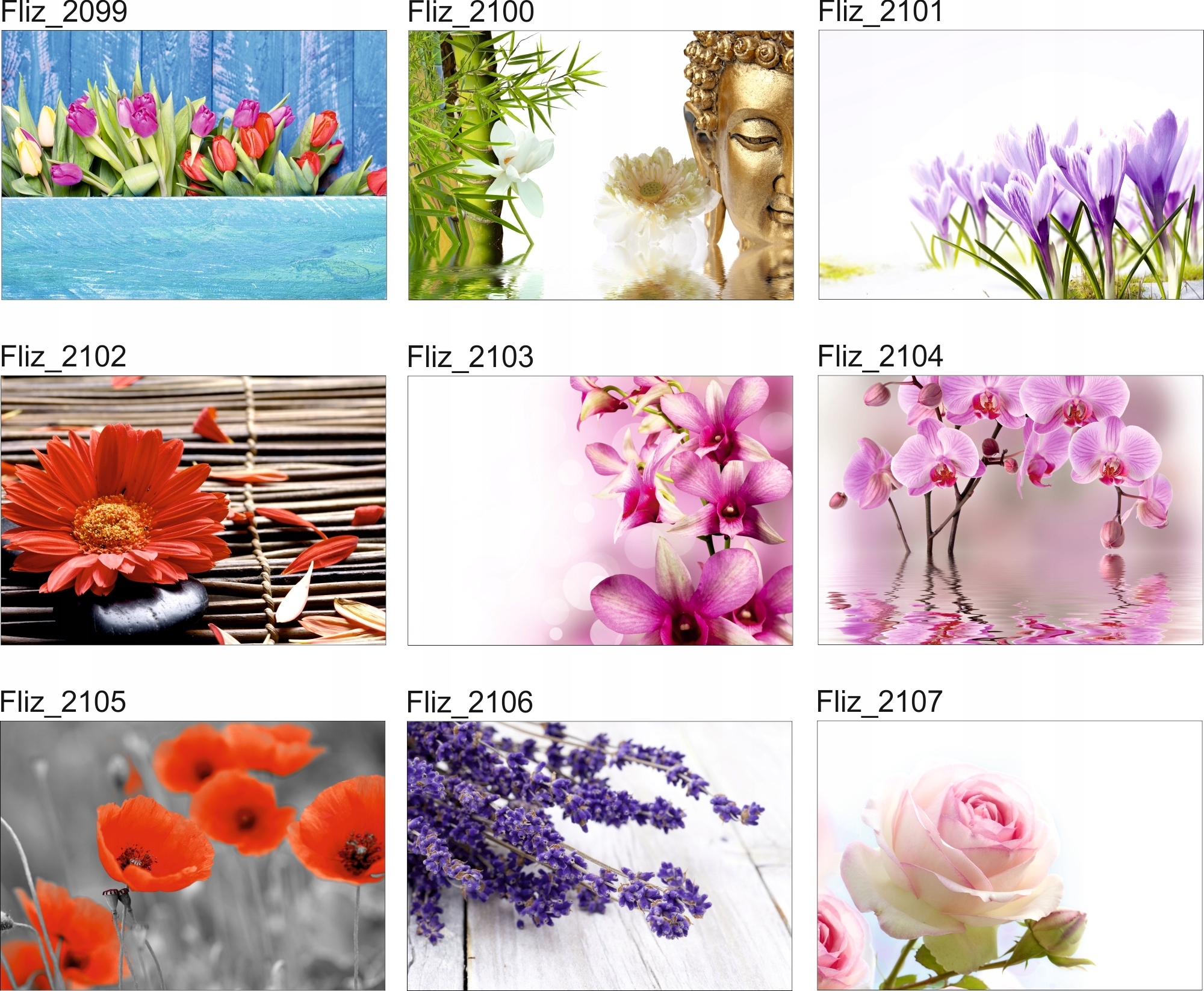 FOTOTAPETA KWIATY STORCZYK WODA LILIA KAMIENIE