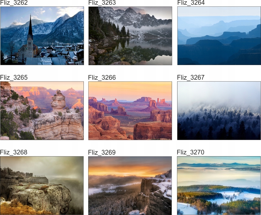 FOTOTAPETY Zwierzęta Szki rekiny ryby delfiny