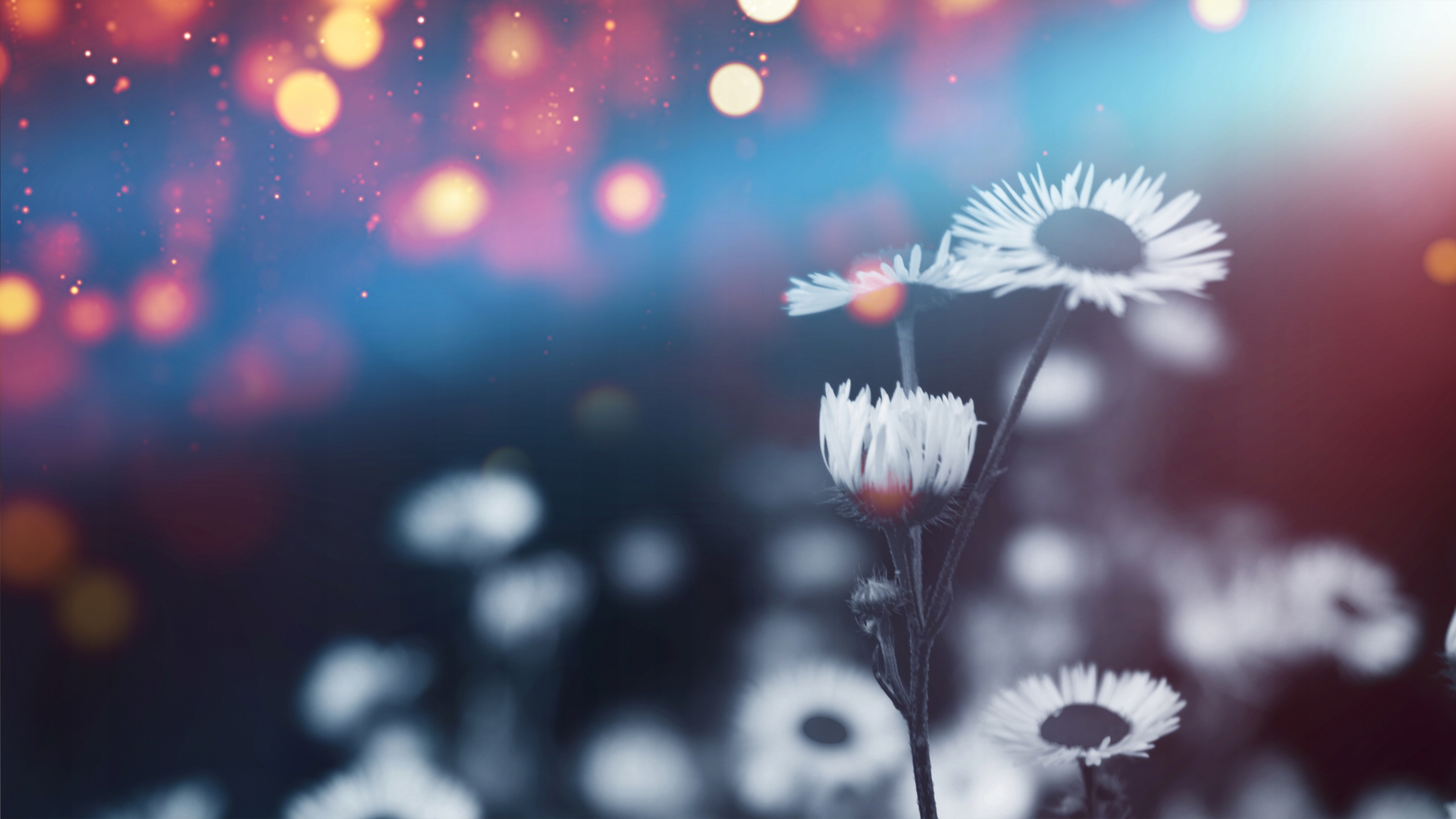 FOTOTAPETY ROŚLINY Kwiaty natura do Salonu Pokoju