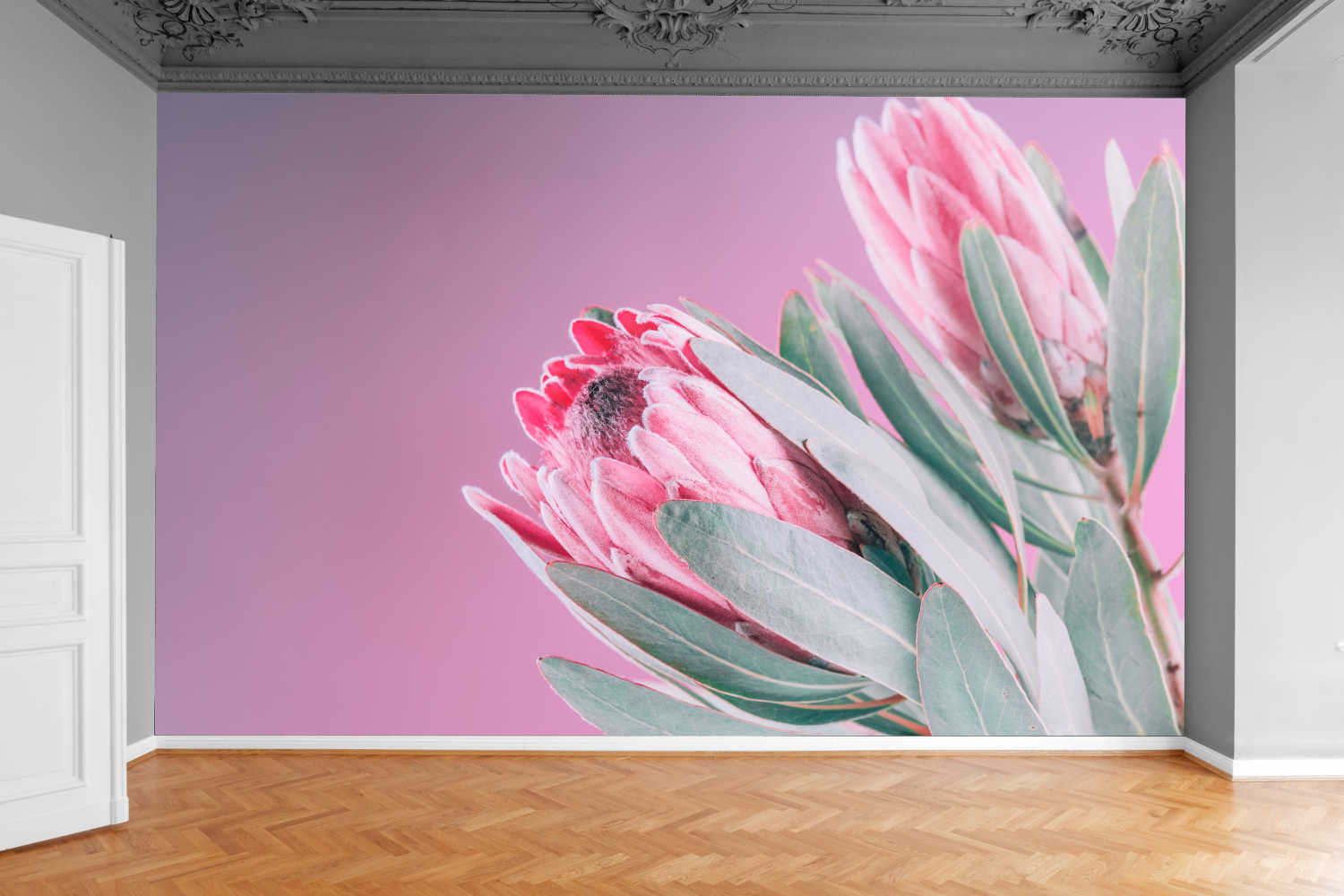 Fototapeta KWITNĄCY KWIAT PROTEA TULIPAN 200x130