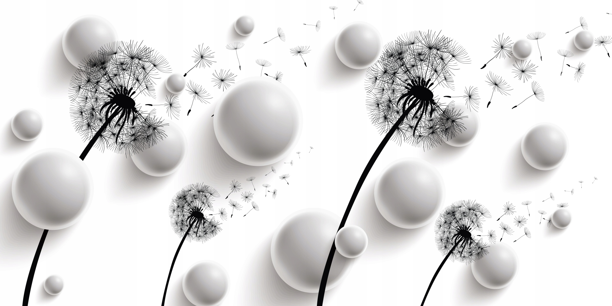 fototapeta DMUCHAWCE KULE KWIATY DO BIURA 360x240