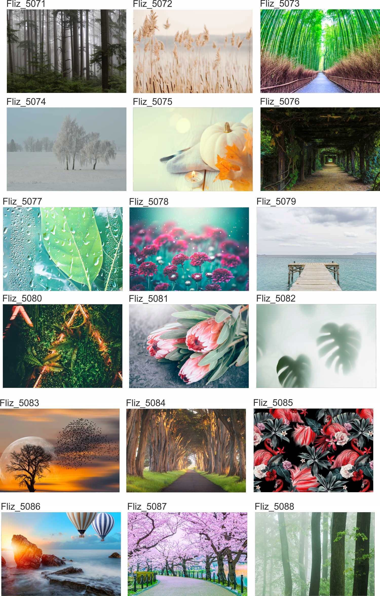 Fototapeta DREWNIANE MOLO MOST OCEANU 200x130