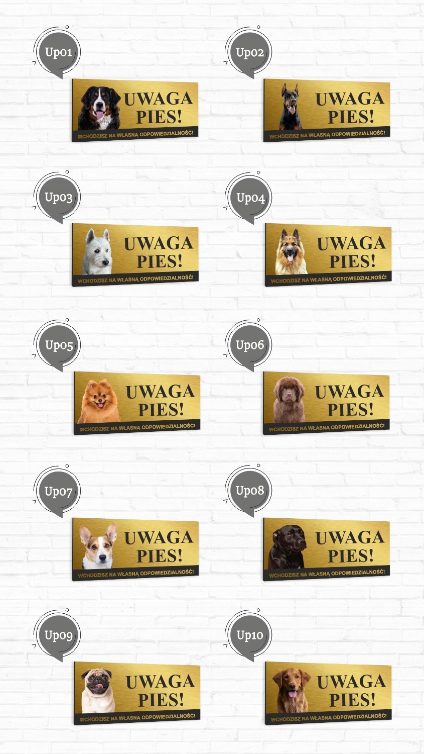 Tabliczka UWAGA ZŁY PIES AMERICAN BULLY złota