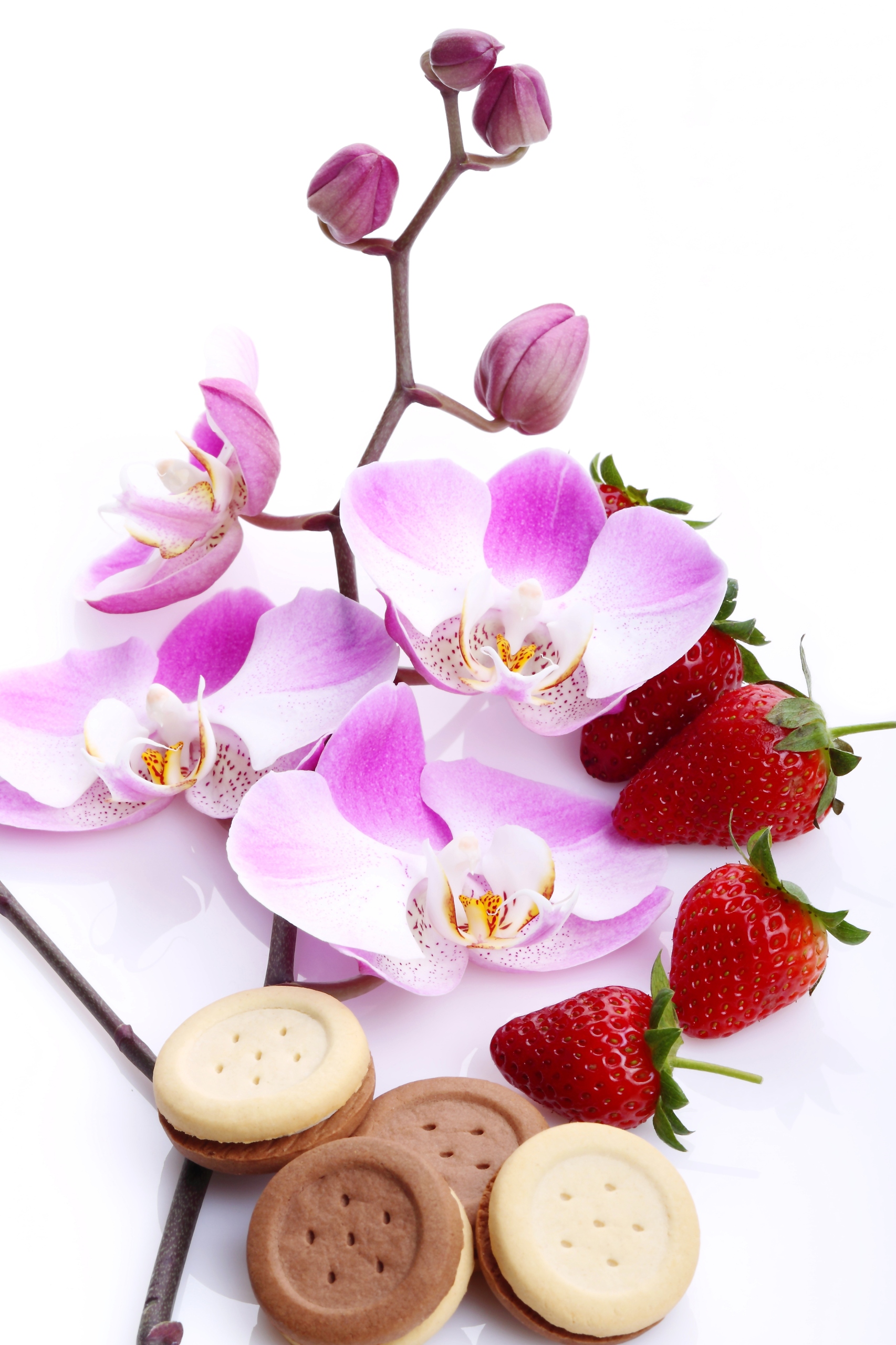 FOTOTAPETA kuchenna STORCZYK CIASTKA TRUSKAWKI