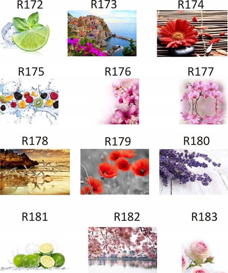 FOTOTAPETA rosliny KWIATY róże DUŻY WYBÓR WZORÓW