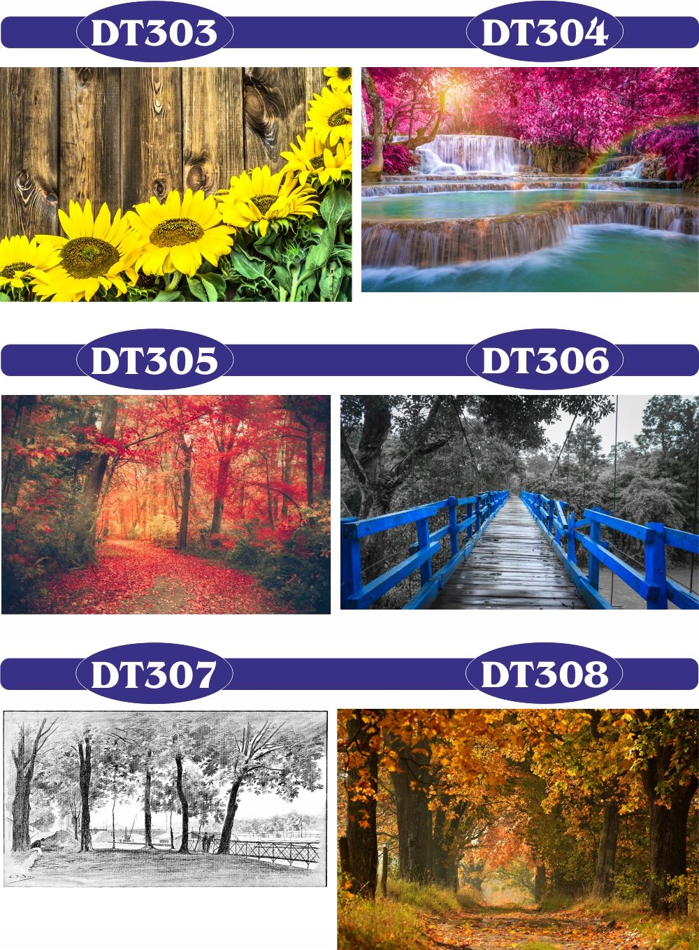 FOTOTAPETY 3d widoki brzozy las drzewa tory most