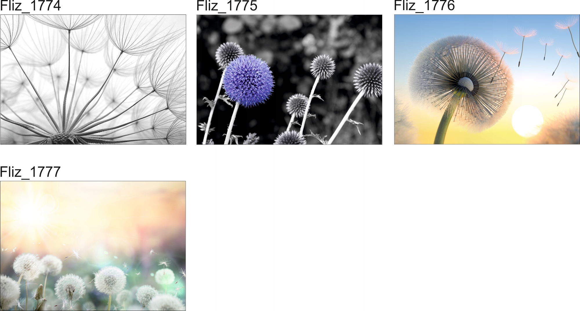 FOTOTAPETA CEGŁA ŁUPEK KAMIENIE MUR PIASKOWIEC