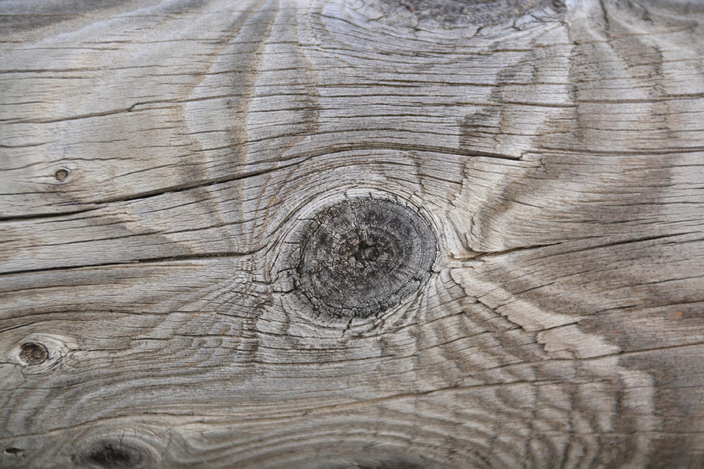 FOTOTAPETA do pokoju deski imitacja drewna 260x180