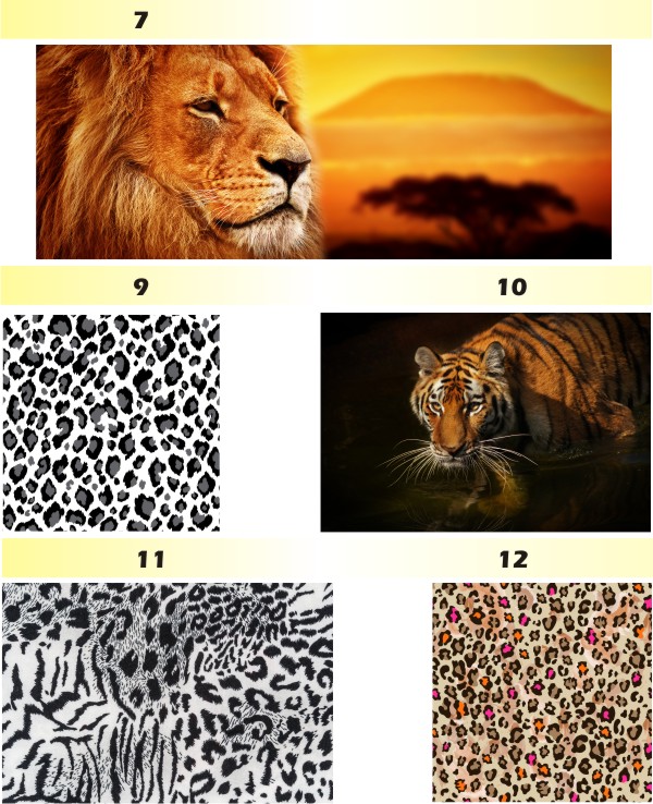 FOTOTAPETA zwierzęta brodzące FLAMINGI animacja