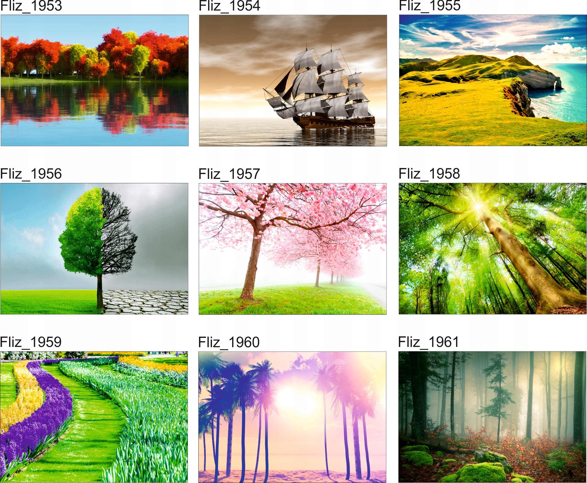 FOTOTAPETA KRAJOBRAZ WIDOK JESIEŃ PARK DRZEWA LAS