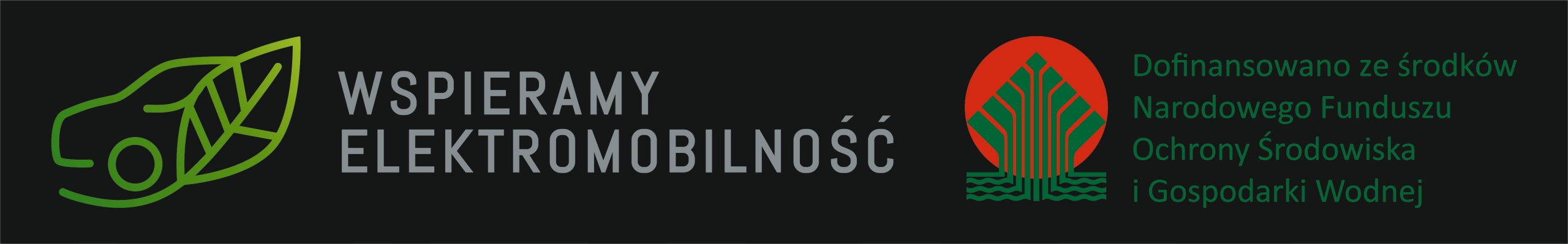 Naklejka na auto samochód PROGRAM MÓJ ELEKTRYK