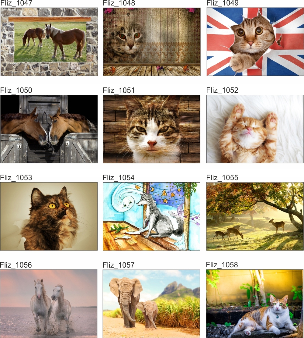 FOTOTAPETA widok okno konie mur cegła 3D 200x130