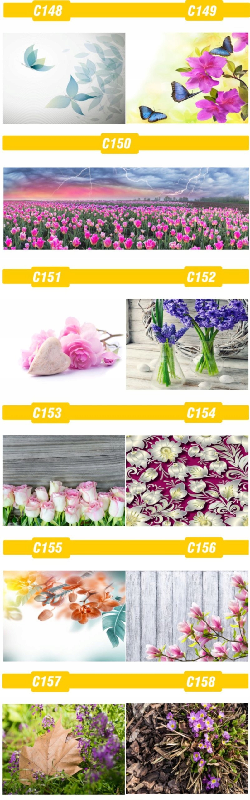 FOTOTAPETA rosliny KWIATY róże DUŻY WYBÓR WZORÓW