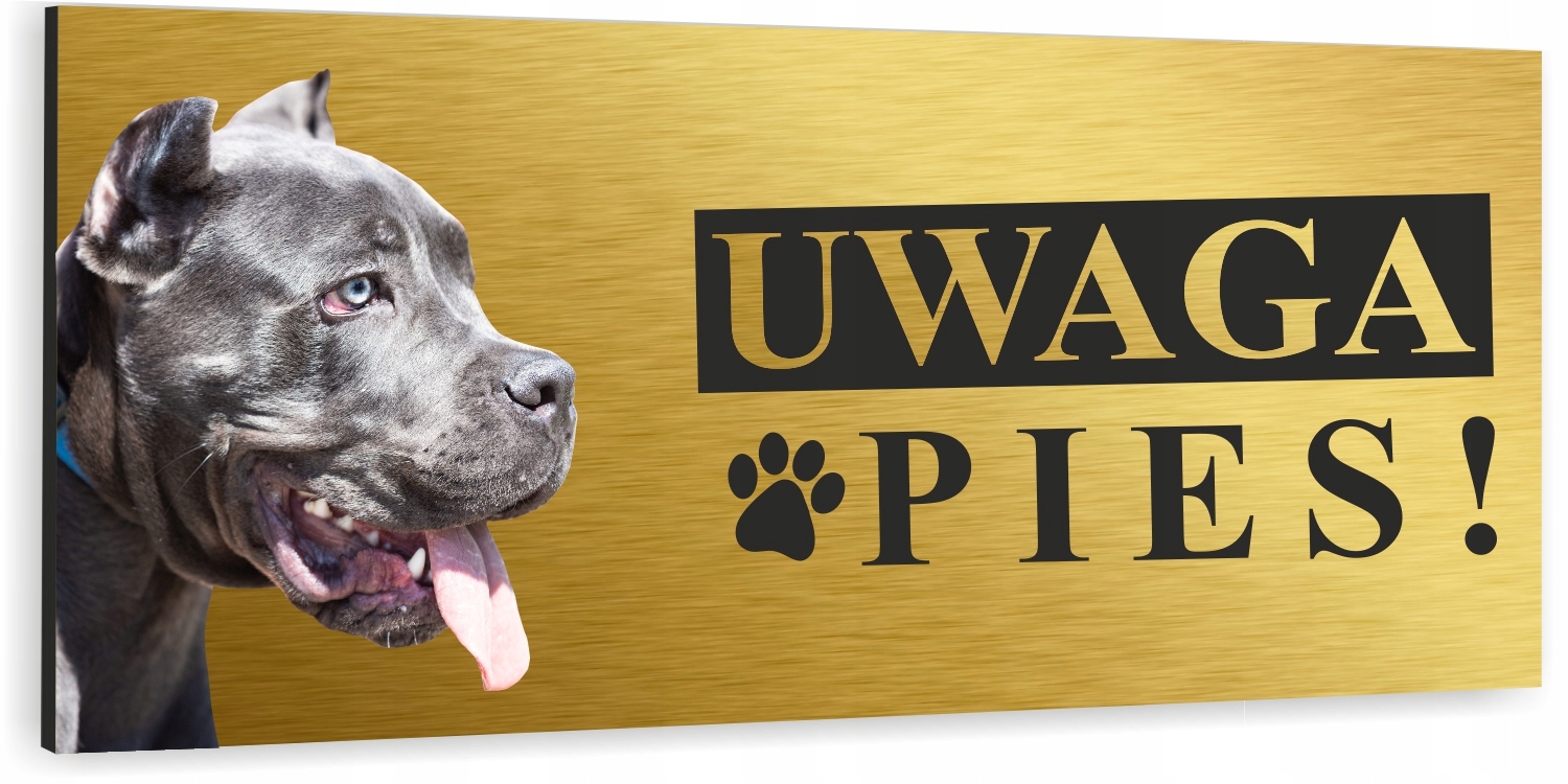 Tabliczka UWAGA ZŁY PIES PITBULL złota dibond