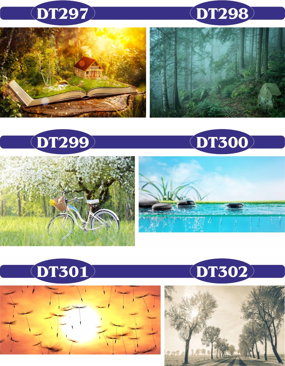 FOTOTAPETY 3d widoki wodospad brzozy las drzewa