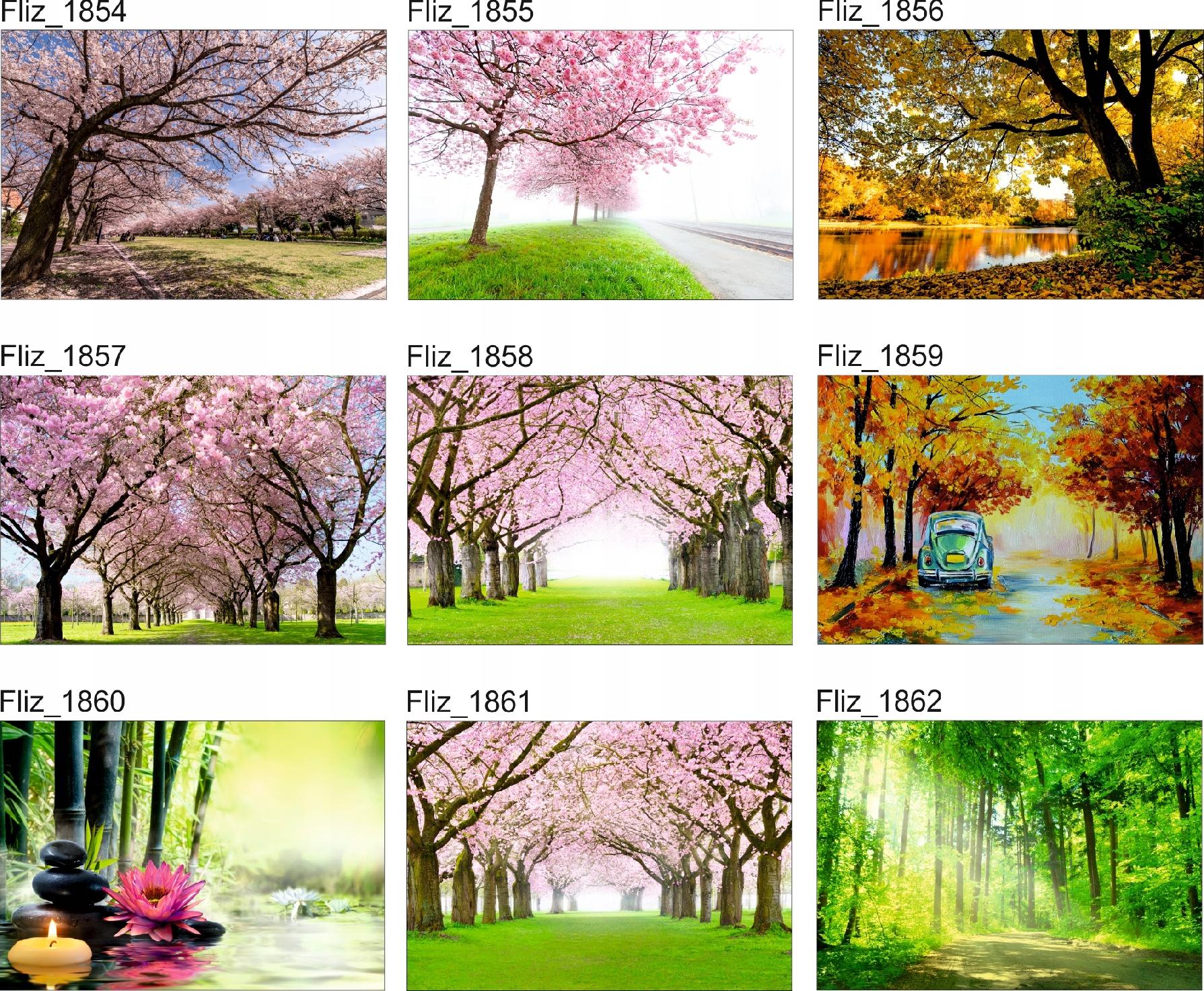 FOTOTAPETA KRAJOBRAZ WIDOK JESIEŃ PARK DRZEWA LAS