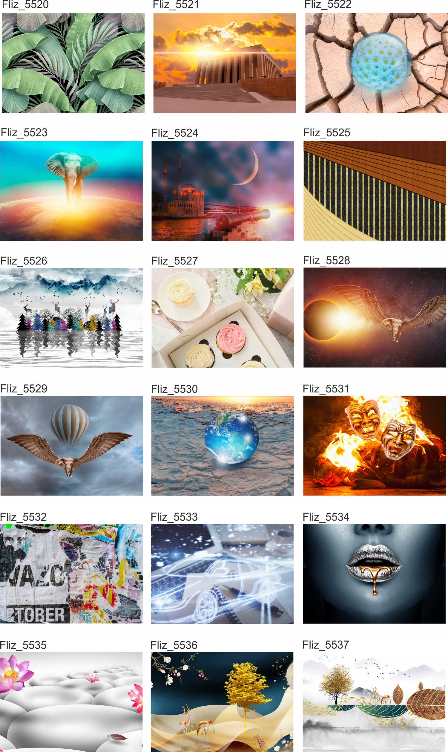 Fototapeta SŁOŃ SPACERUJĄCY PO PLANECIE 300x210