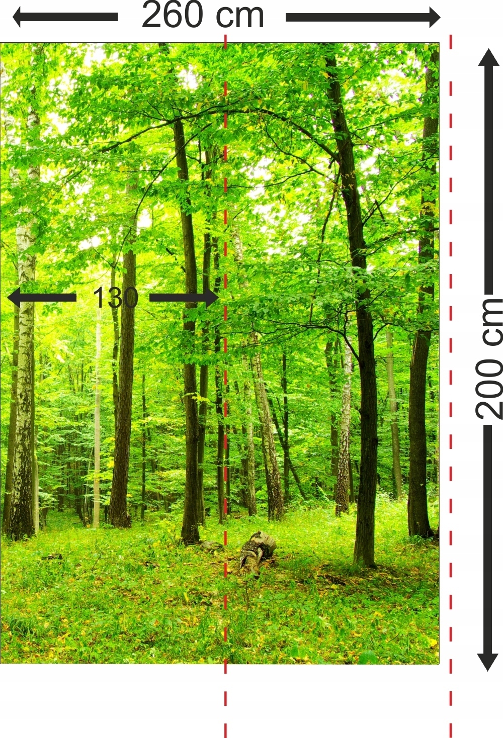 Fototapeta 3D WIDOK most w górach 260x200 FLI